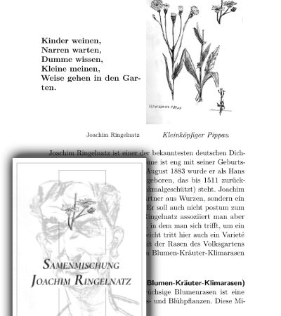 Blumen-Kräuter-Klimarasen „Joachim Ringelnatz“ mit ausführlicher Beschreibung